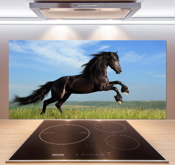 Cooker splashback Black horse in the meadow