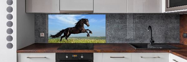 Cooker splashback Black horse in the meadow