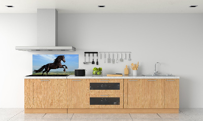 Cooker splashback Black horse in the meadow