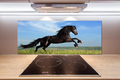 Cooker splashback Black horse in the meadow