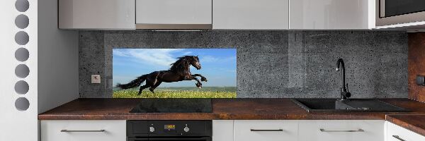 Cooker splashback Black horse in the meadow