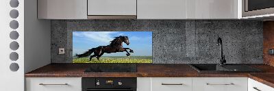 Cooker splashback Black horse in the meadow