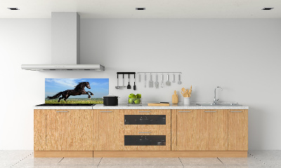 Cooker splashback Black horse in the meadow