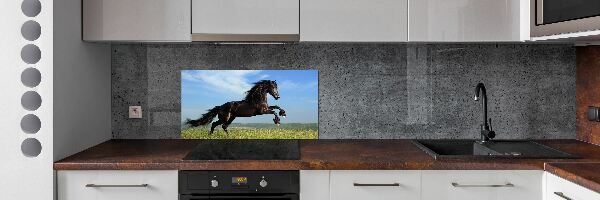 Cooker splashback Black horse in the meadow