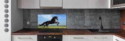 Cooker splashback Black horse in the meadow