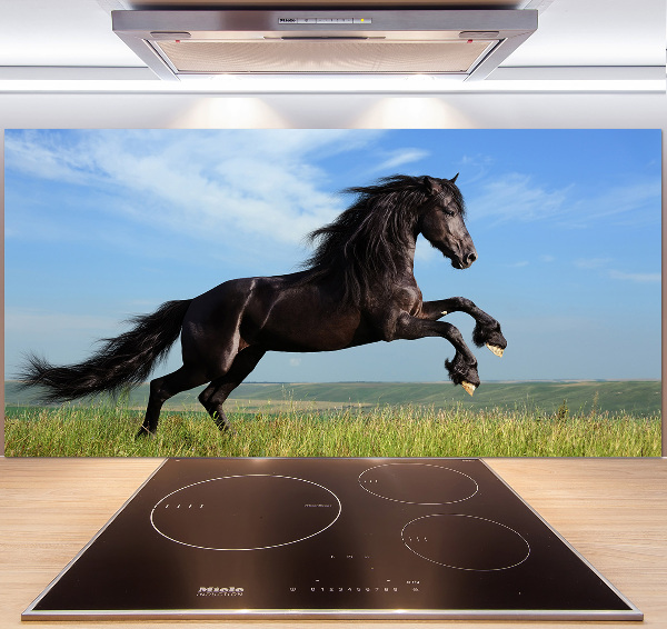 Cooker splashback Black horse in the meadow