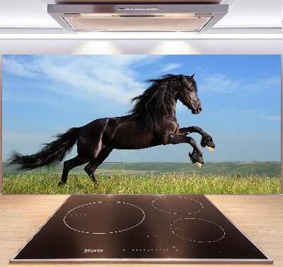 Cooker splashback Black horse in the meadow