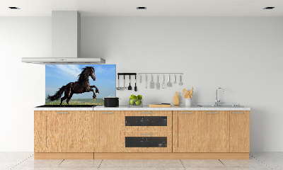 Cooker splashback Black horse in the meadow