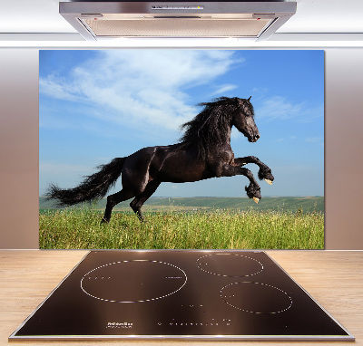 Cooker splashback Black horse in the meadow