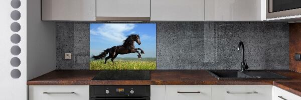 Cooker splashback Black horse in the meadow