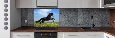 Cooker splashback Black horse in the meadow