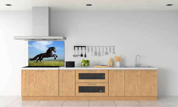 Cooker splashback Black horse in the meadow