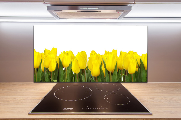 Cooker splashback Yellow tulips