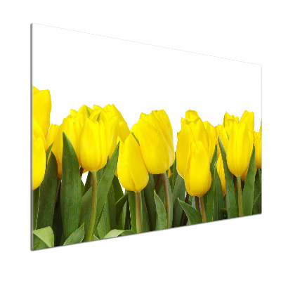 Cooker splashback Yellow tulips