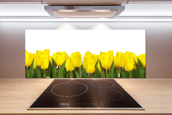 Cooker splashback Yellow tulips