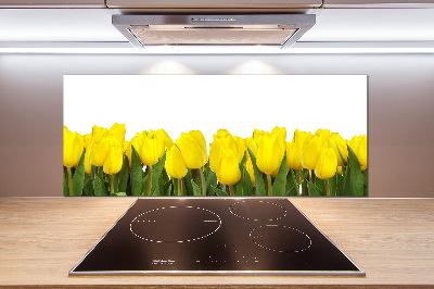 Cooker splashback Yellow tulips