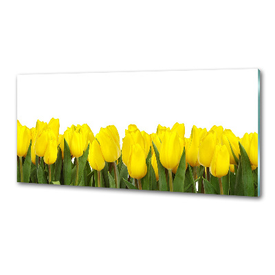 Cooker splashback Yellow tulips