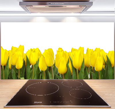 Cooker splashback Yellow tulips