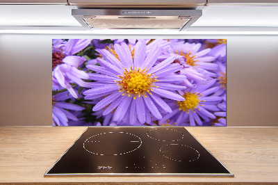 Cooker splashback Asters