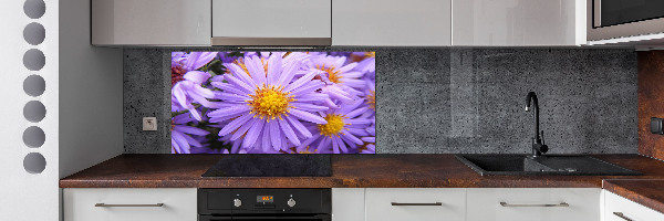 Cooker splashback Asters