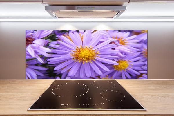 Cooker splashback Asters