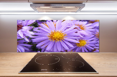 Cooker splashback Asters