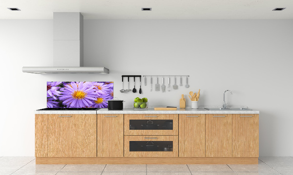 Cooker splashback Asters