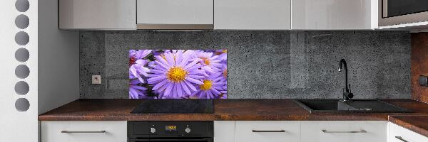 Cooker splashback Asters