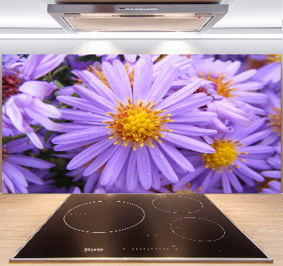 Cooker splashback Asters