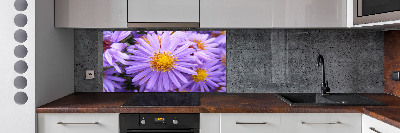 Cooker splashback Asters