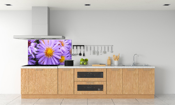 Cooker splashback Asters