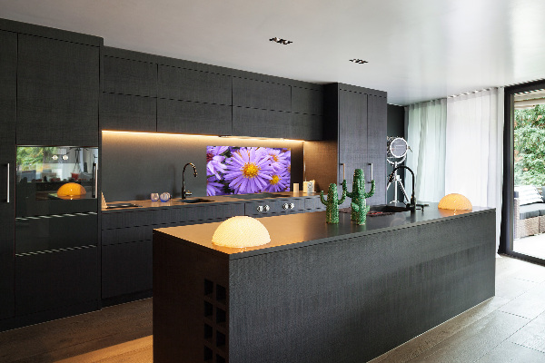 Cooker splashback Asters