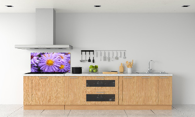 Cooker splashback Asters