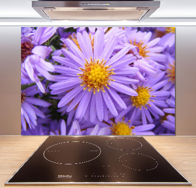 Cooker splashback Asters