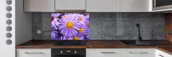 Cooker splashback Asters