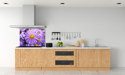 Cooker splashback Asters