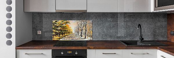 Cooker splashback Autumn versus winter