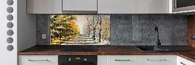 Cooker splashback Autumn versus winter