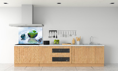 Cooker splashback Ecological resources