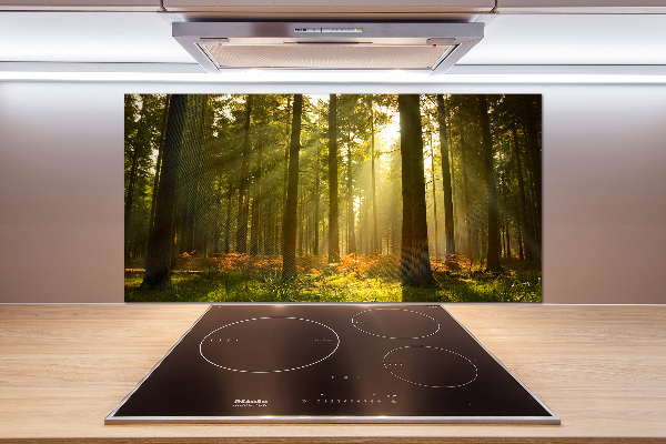 Kitchen splashback Forest in the sun