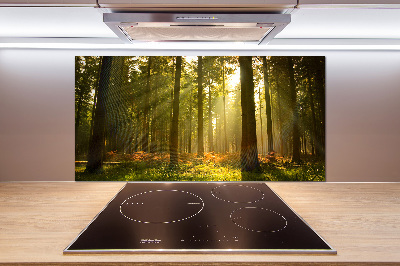 Kitchen splashback Forest in the sun