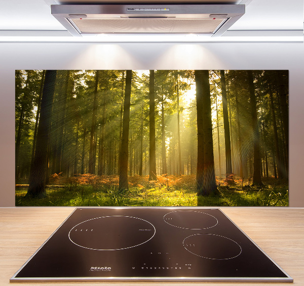 Kitchen splashback Forest in the sun