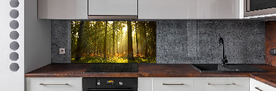 Kitchen splashback Forest in the sun