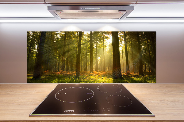 Kitchen splashback Forest in the sun