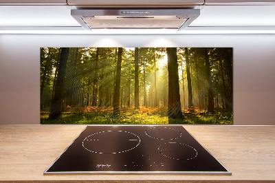 Kitchen splashback Forest in the sun