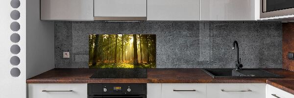 Kitchen splashback Forest in the sun