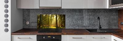 Kitchen splashback Forest in the sun