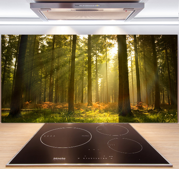 Kitchen splashback Forest in the sun