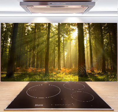 Kitchen splashback Forest in the sun