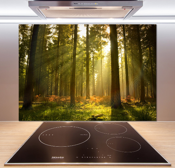 Kitchen splashback Forest in the sun